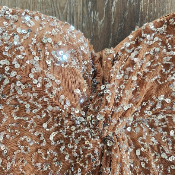 Retrofete Evie Sequin Dress in Silver Nude Strapless Size Medium NWT Maxi - Picture 14 of 14